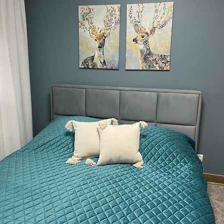 Apartament Sosnowy Zakatek Гливице Экстерьер фото