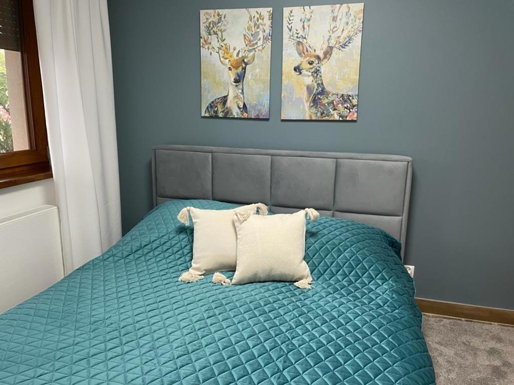 Apartament Sosnowy Zakatek Гливице Экстерьер фото